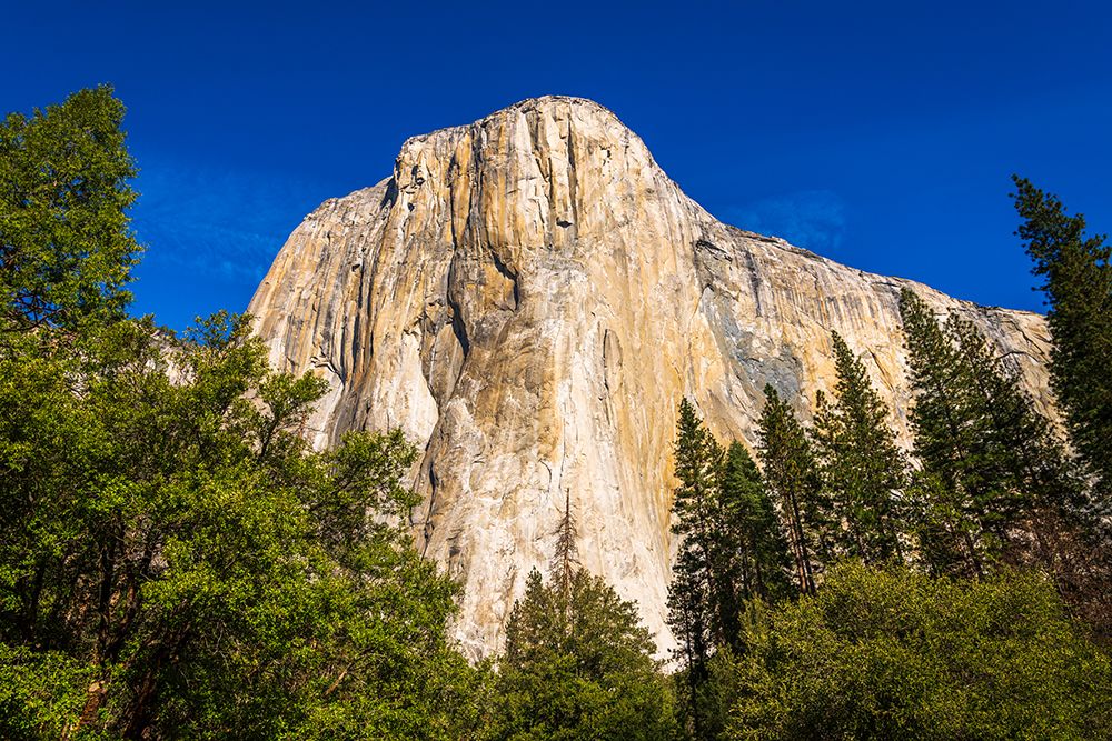 El Capitan-Yosemite Valley-Yosemite National Park-California-USA art print by Russ Bishop for $57.95 CAD