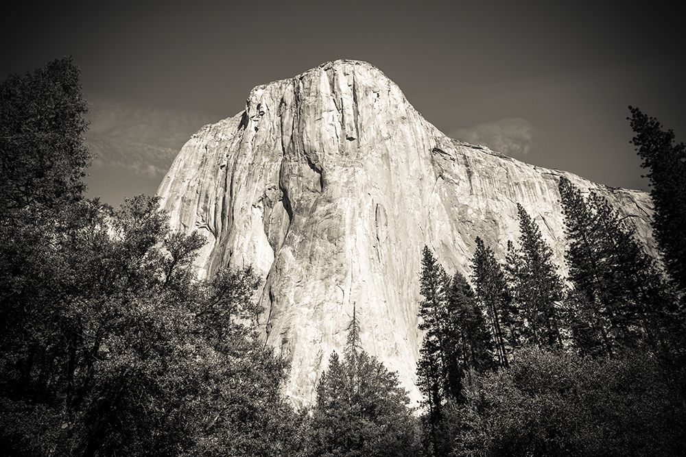 El Capitan-Yosemite Valley-Yosemite National Park-California-USA art print by Russ Bishop for $57.95 CAD