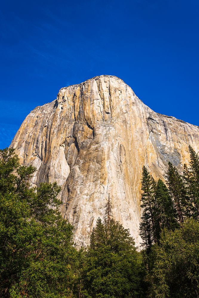 El Capitan-Yosemite Valley-Yosemite National Park-California-USA art print by Russ Bishop for $57.95 CAD