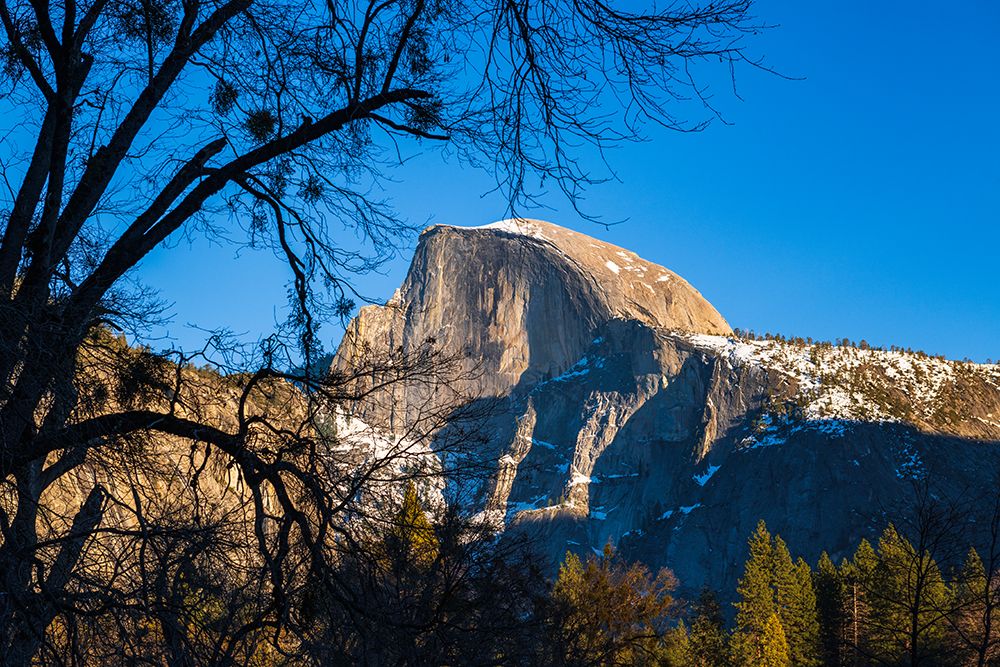 Afternoon light on Half Dome in winter-Yosemite National Park-California-USA art print by Russ Bishop for $57.95 CAD