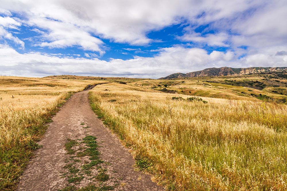 Hiker on the Smugglers Cove Trail-Santa Cruz Island-Channel Islands National Park-California. art print by Russ Bishop for $57.95 CAD