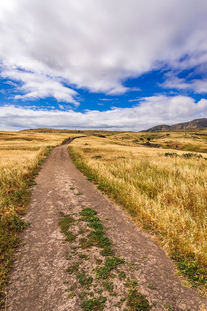 Hiker on the Smugglers Cove Trail-Santa Cruz Island-Channel Islands National Park-California. art print by Russ Bishop for $57.95 CAD