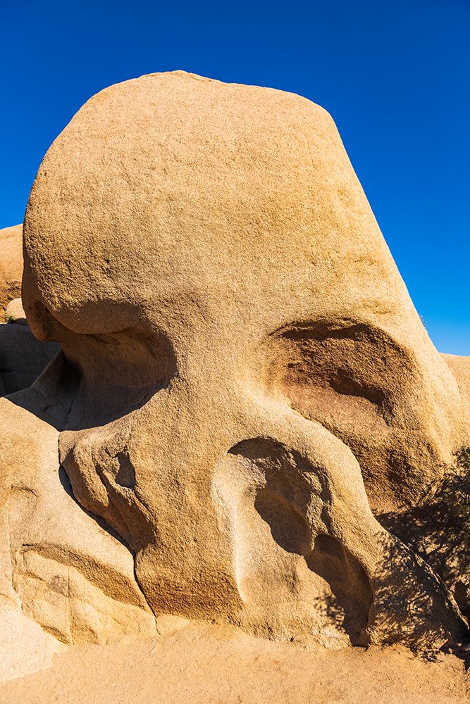 Skull Rock-Joshua Tree National Park-California-USA art print by Russ Bishop for $57.95 CAD