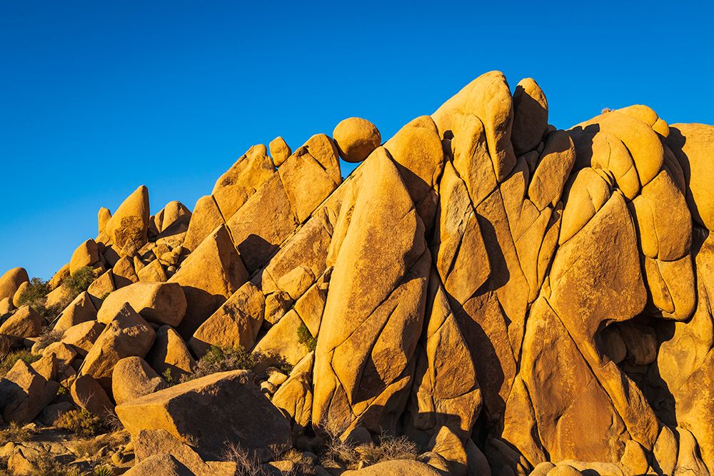 Granite boulders at Jumbo Rocks-Joshua Tree National Park-California-USA art print by Russ Bishop for $57.95 CAD