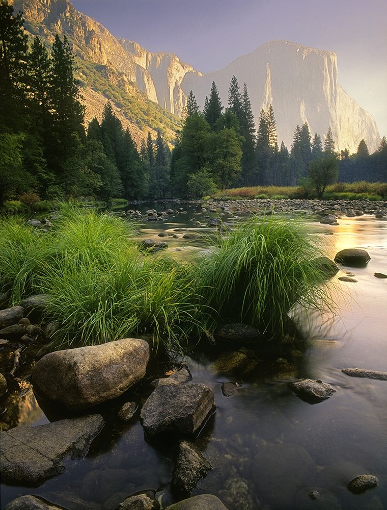 Merced River flows through Yosemite National Park in California art print by Steve Mohlenkamp for $57.95 CAD