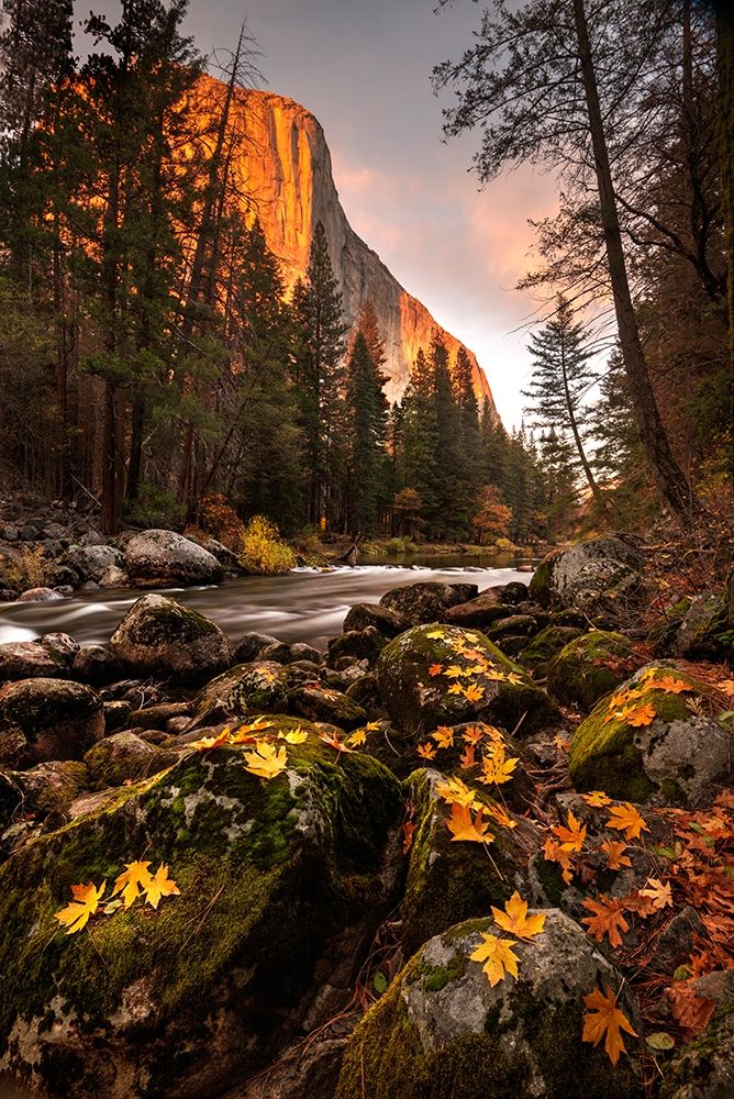 Fall along Merced River in Yosemite National Park-California art print by Steve Mohlenkamp for $57.95 CAD