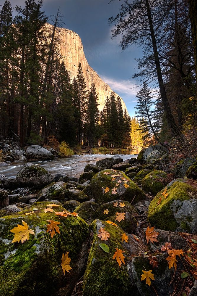 Autumn along Merced River in Yosemite National Park-California art print by Steve Mohlenkamp for $57.95 CAD