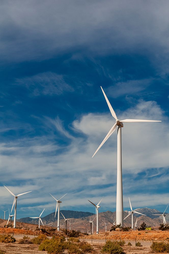 Rows of windmills on a wind farm Palm Springs-California art print by Sergio Pitamitz for $57.95 CAD