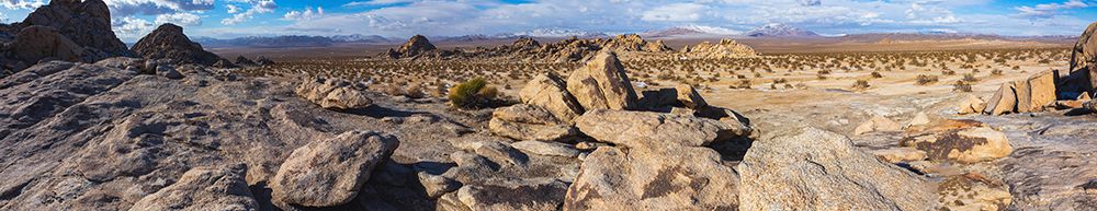 Johnson Valley-California art print by Zandria Muench for $57.95 CAD