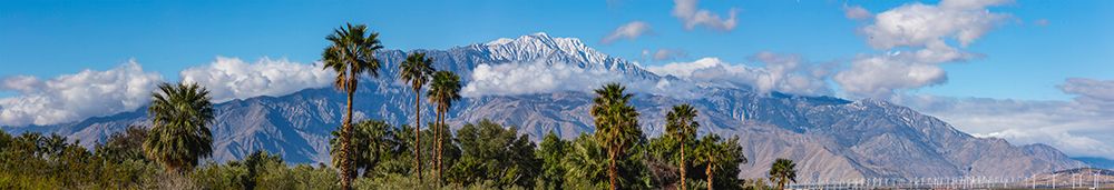 San Jacinto Mountain from Desert Hot Springs- California art print by Zandria Muench for $57.95 CAD