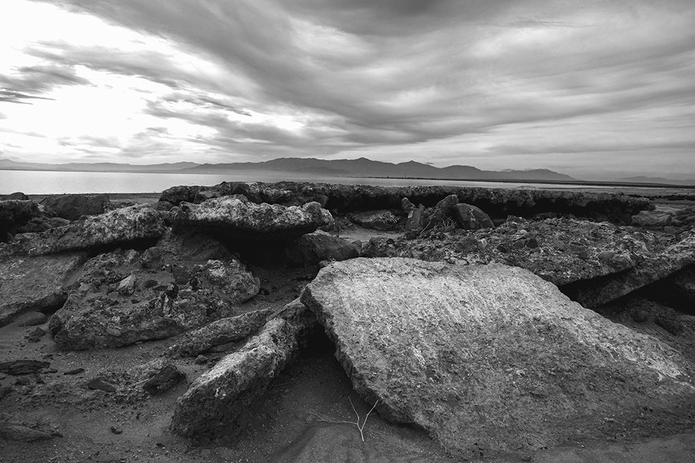 Salton Sea- Imperial Valley- California art print by Zandria Muench for $57.95 CAD