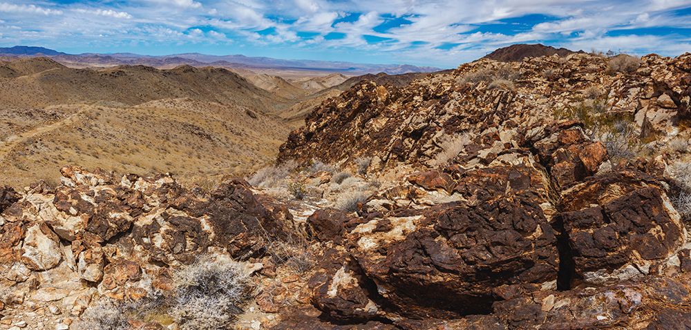 Black Eagle Mine Road- California art print by Zandria Muench for $57.95 CAD