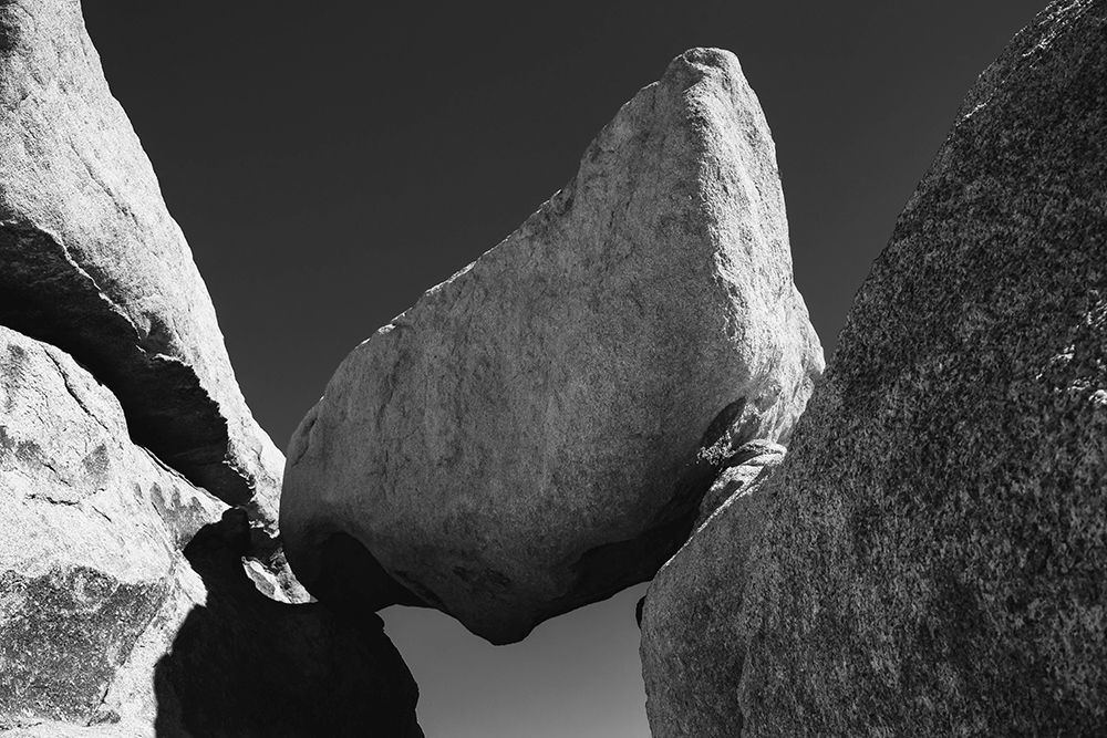 Joshua Tree National Park- California art print by Zandria Muench for $57.95 CAD