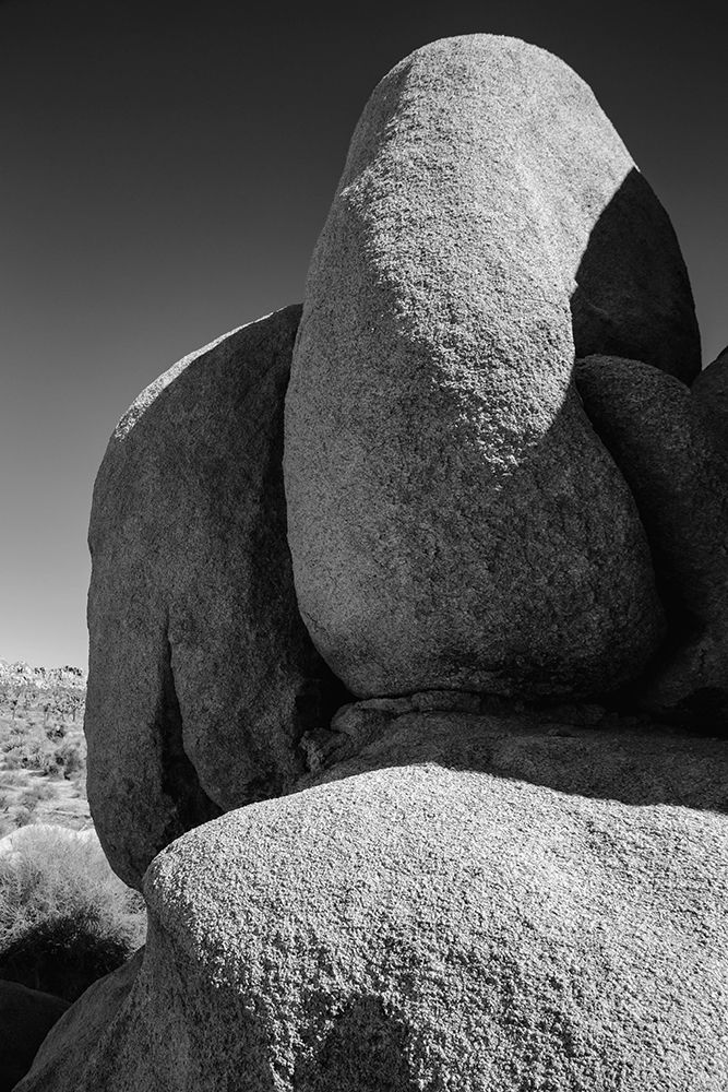 Granite Tree National Park- California art print by Zandria Muench for $57.95 CAD