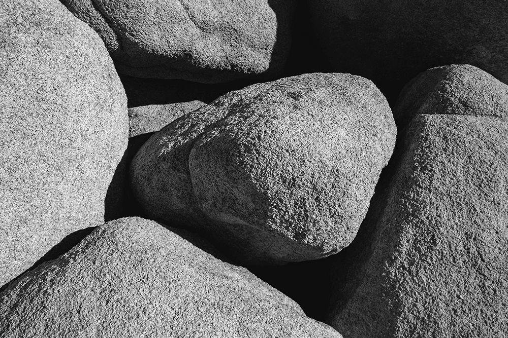 Granite Tree National Park- California art print by Zandria Muench for $57.95 CAD
