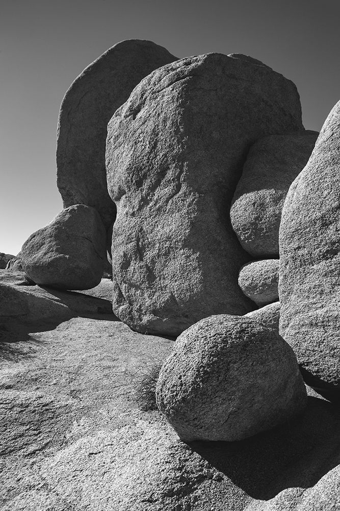 Granite Tree National Park- California art print by Zandria Muench for $57.95 CAD