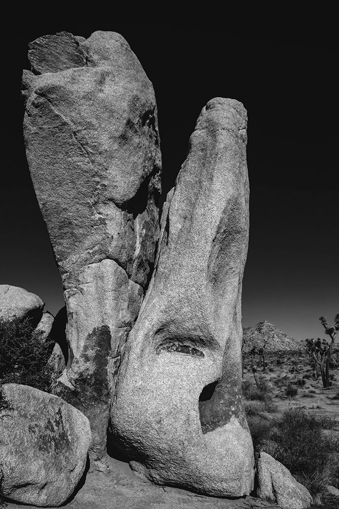 Joshua Tree National Park- California art print by Zandria Muench for $57.95 CAD