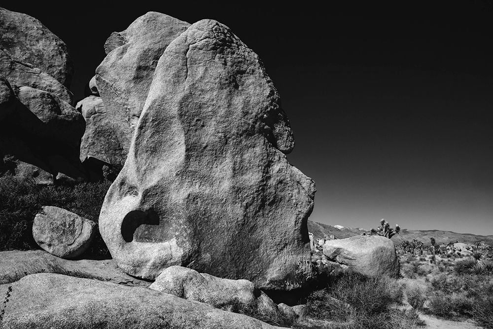 Joshua Tree National Park- California art print by Zandria Muench for $57.95 CAD