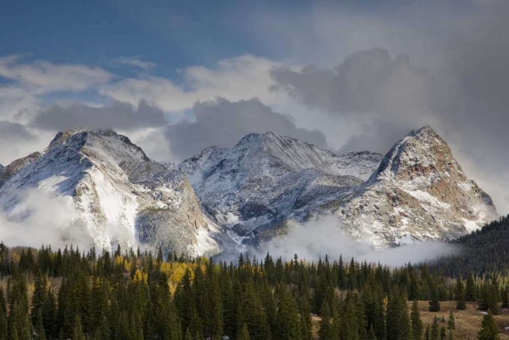 CO, Uncompahgre NF Grenadier Range in autumn art print by Don Grall for $57.95 CAD