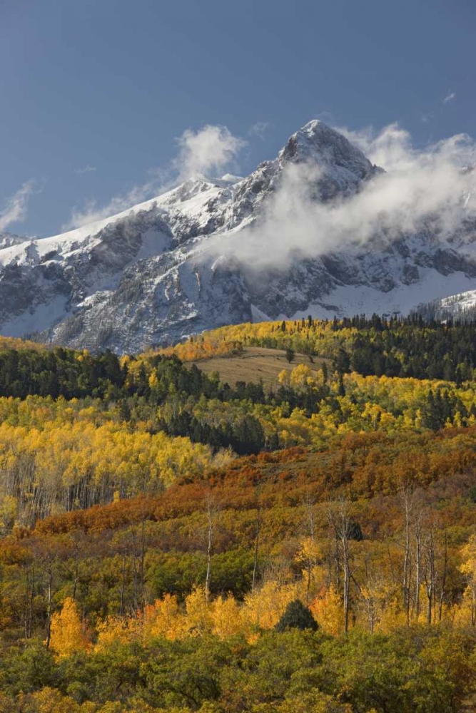 CO, San Juan Mts, Uncompahgre NF Autumn forest art print by Don Grall for $57.95 CAD