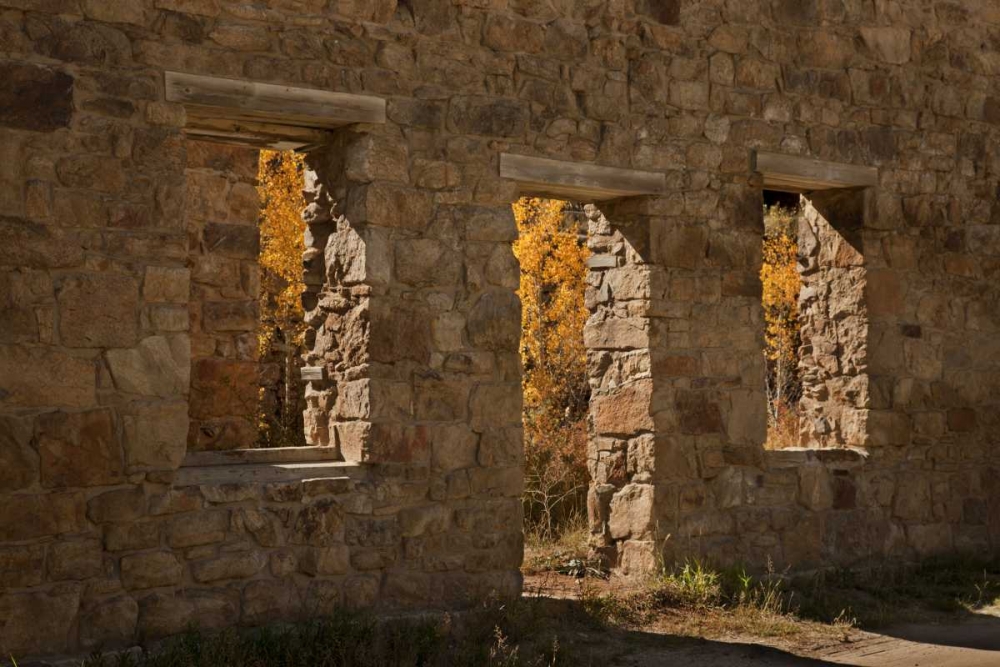 CO, Central City Aspen inside abandoned building art print by Don Grall for $57.95 CAD