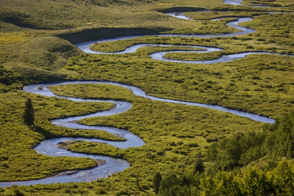 CO, Gunnison NF Uper East Rivers meandering art print by Don Grall for $57.95 CAD