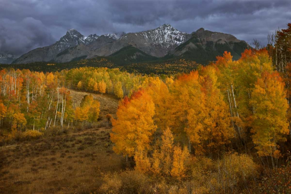 CO, Sneffels Range Dark clouds foretell a storm art print by Don Grall for $57.95 CAD