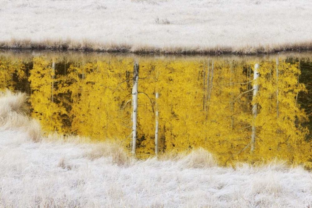 CO, San Juan Mts Autumn sunrise reflection art print by Don Grall for $57.95 CAD