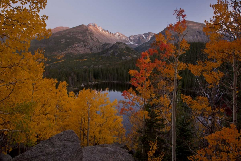 CO, Rocky Mts Aspen trees frame Longs Peak art print by Don Grall for $57.95 CAD