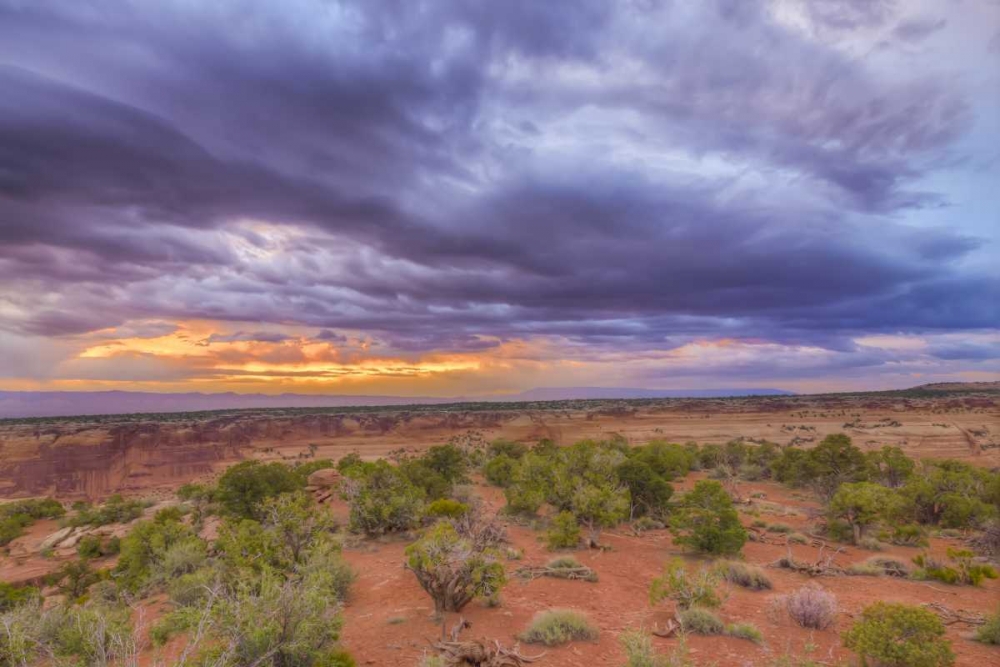 Colorado, Fruita Sunrise over Colorado NM art print by Fred Lord for $57.95 CAD