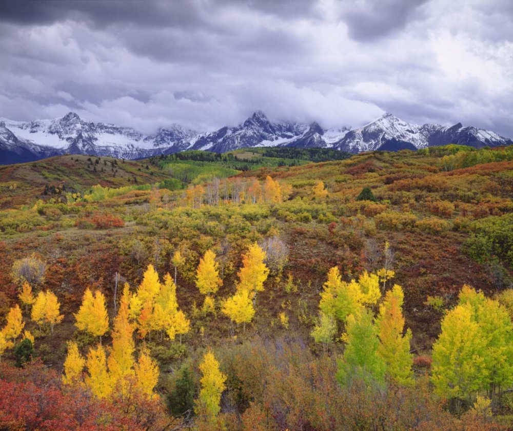 Colorado, Rocky Mountains, Autumn in the Rockies art print by Christopher Talbot Frank for $57.95 CAD