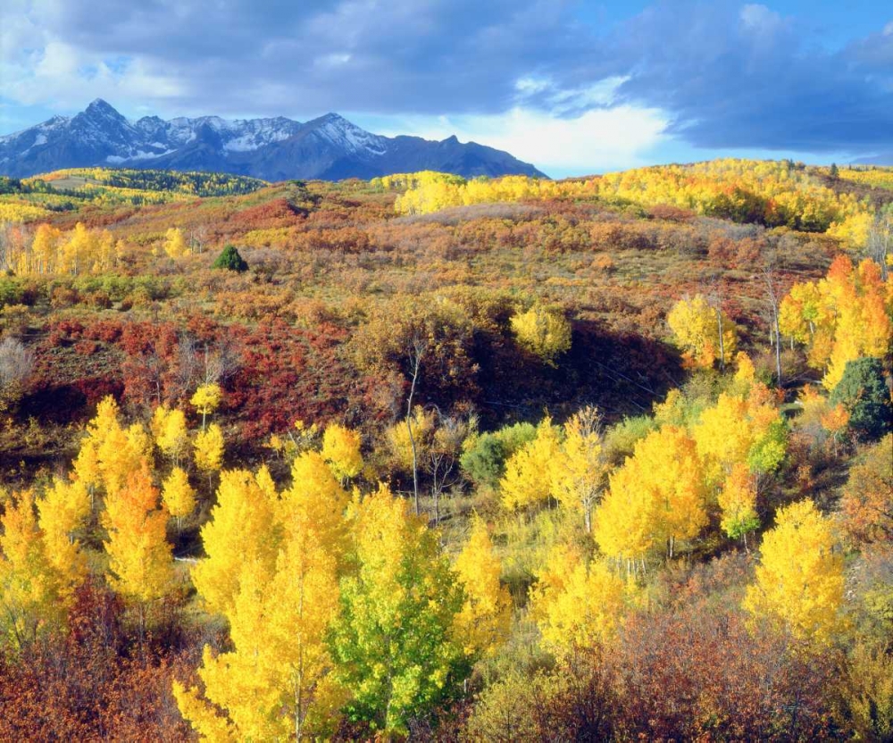 Colorado, Rocky Mountains, Autumn in the Rockies art print by Christopher Talbot Frank for $57.95 CAD