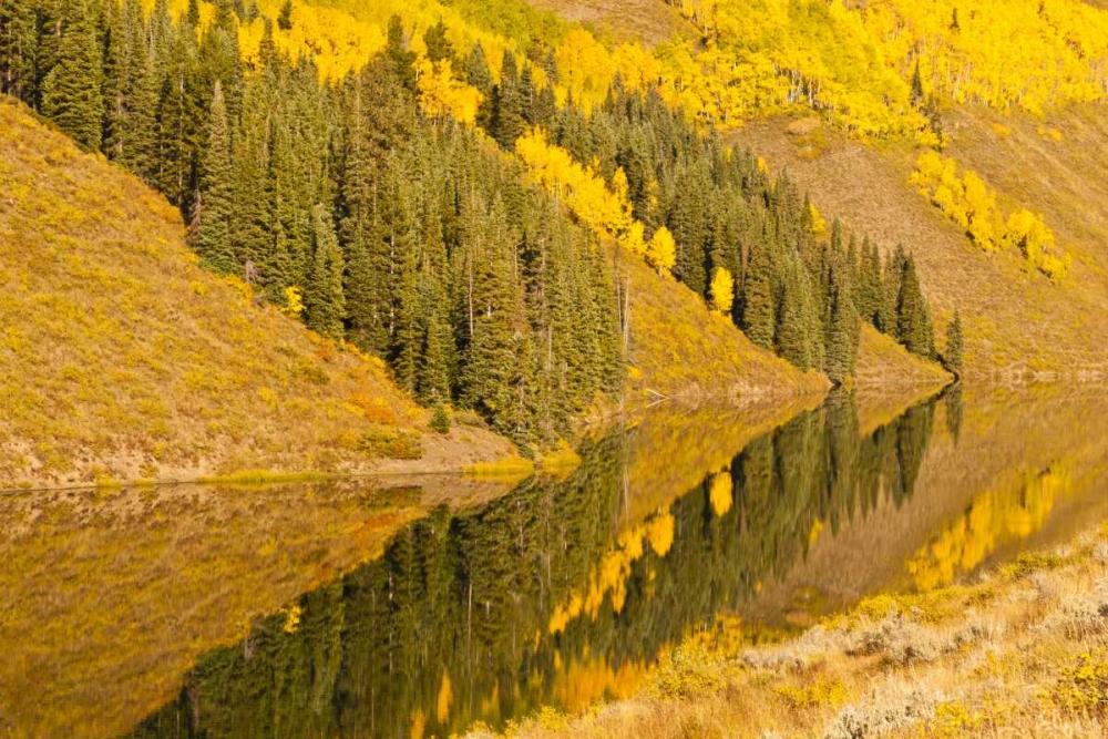 CO, Rocky Mts Autumn reflection on Long Lake art print by Cathy and Gordon Illg for $57.95 CAD