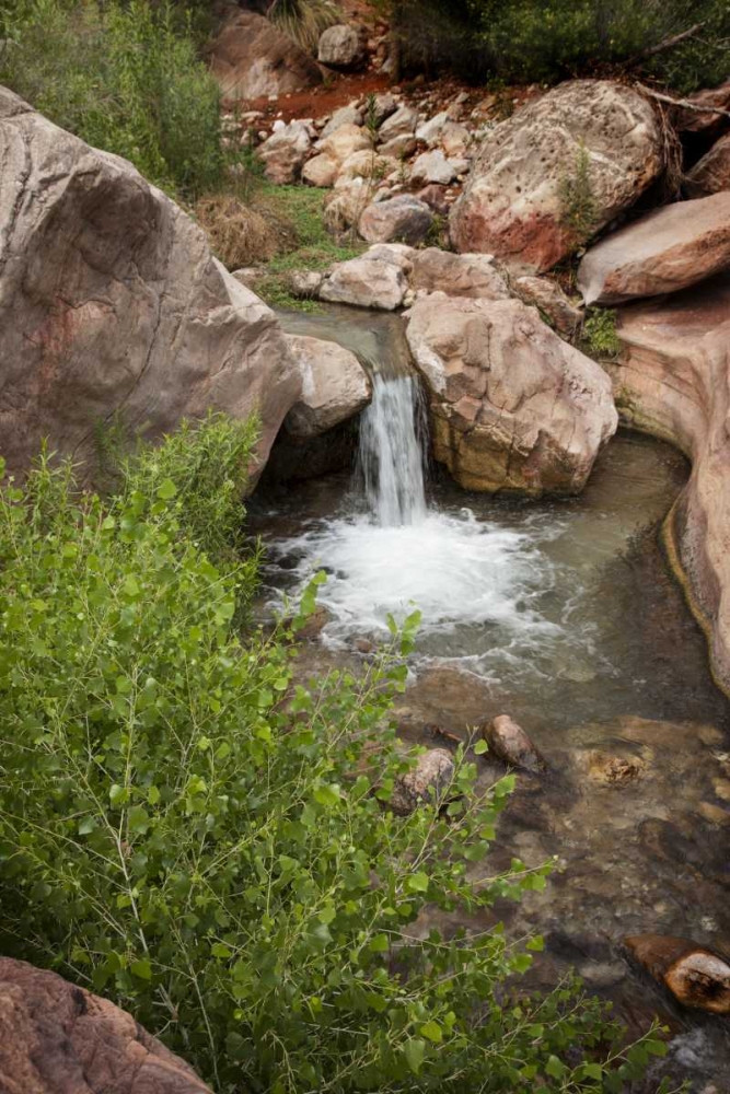AZ, Grand Canyon, Deer Creek waterfall and pool art print by Don Grall for $57.95 CAD