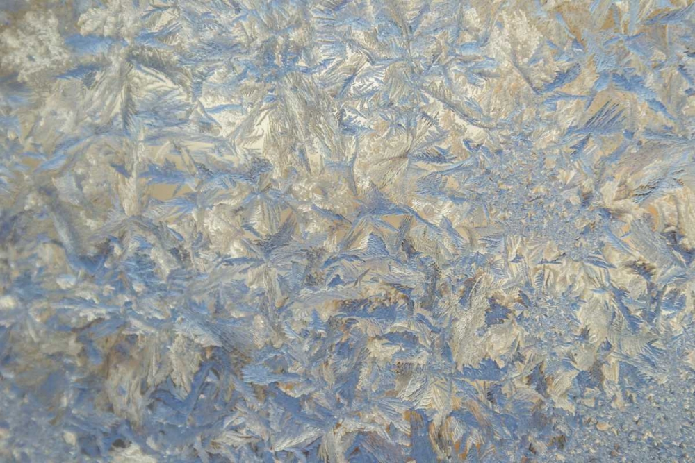 USA, Colorado Close-up of frost and ice on glass art print by Cathy and Gordon Illg for $57.95 CAD