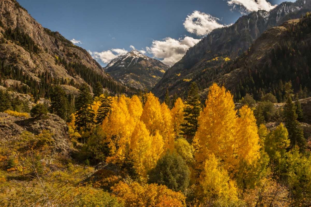 Colorado Autumn landscape in San Juan Mountains art print by Cathy and Gordon Illg for $57.95 CAD