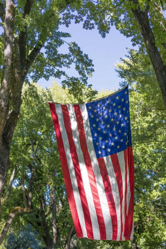 Colorado, Crawford Flag between two trees art print by Don Paulson for $57.95 CAD