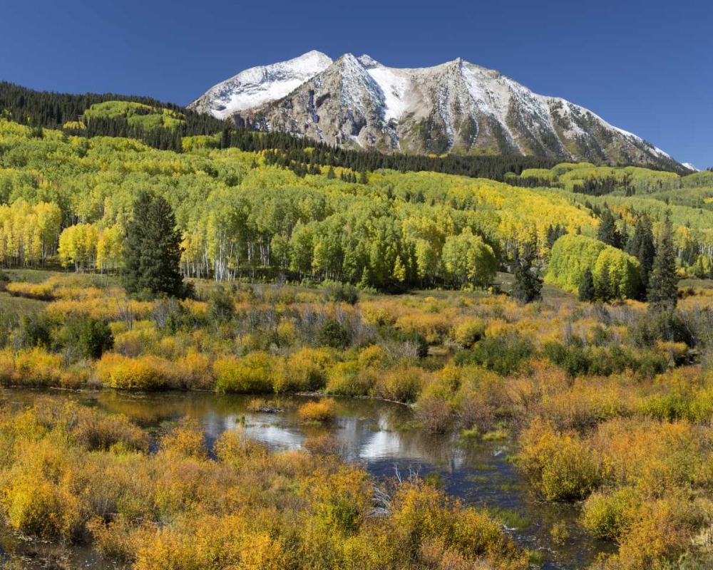 CO, East Beckwith Mountain Mountain and forest art print by Don Paulson for $57.95 CAD