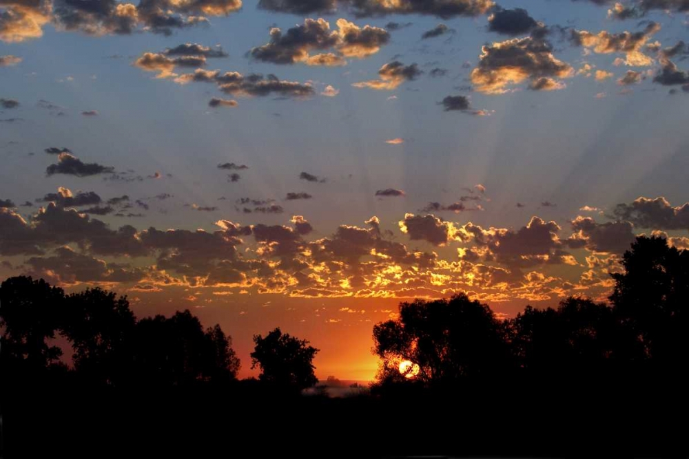 USA, Colorado, Boulder Sunrise at Sawhill Ponds art print by Marie Bush for $57.95 CAD
