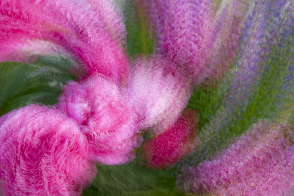 Colorado, Crested Butte Peony flower montage art print by Marie Bush for $57.95 CAD