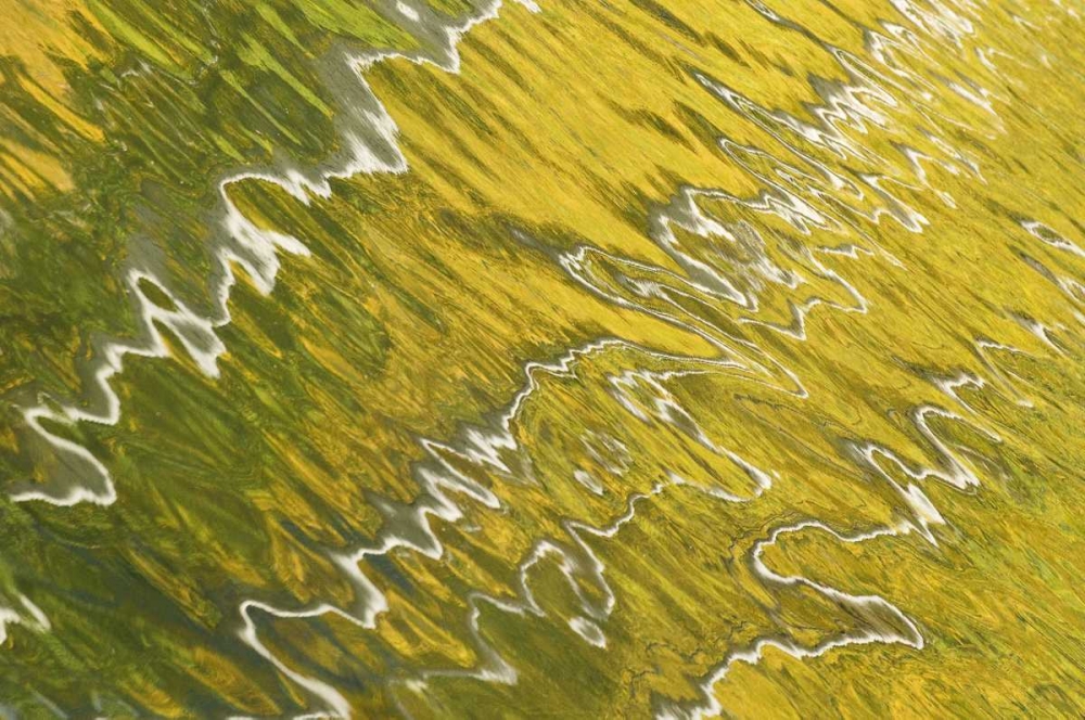 Colorado, San Juan Mts Reflection in Woods Lake art print by Marie Bush for $57.95 CAD