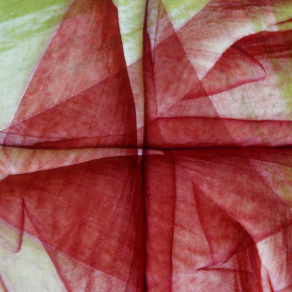 USA, Colorado, Lafayette Amaryllis montage art print by Marie Bush for $57.95 CAD