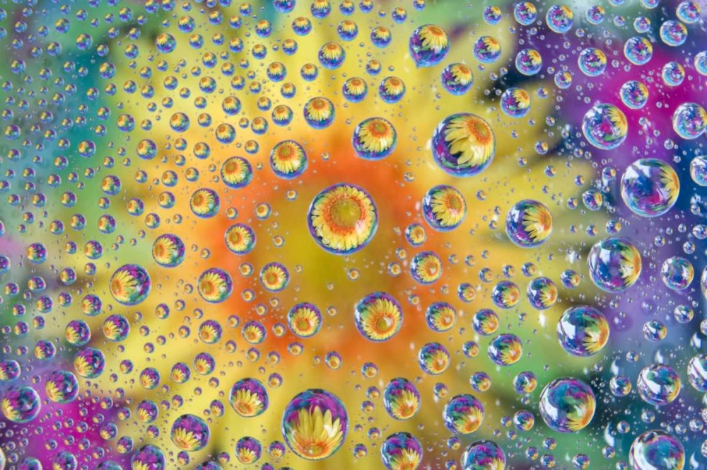 Colorado, Lafayette Abstract Water bubbles art print by Marie Bush for $57.95 CAD