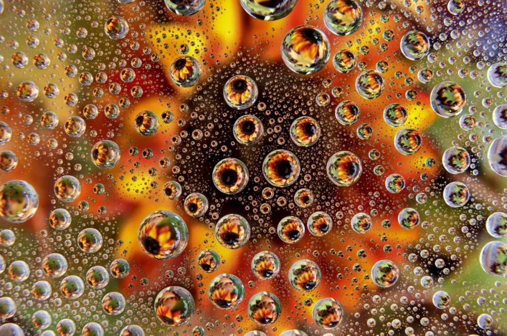 CO, Lafayette Water bubbles on glass table top art print by Marie Bush for $57.95 CAD