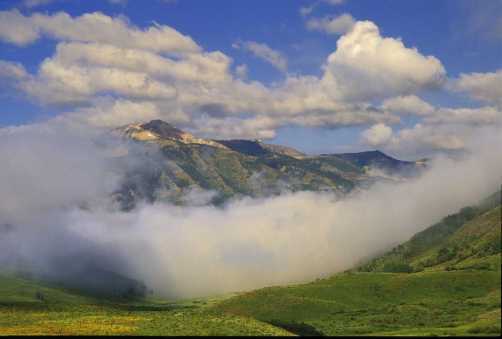 Colorado, Fog and mountain landscape art print by Nancy Rotenberg for $57.95 CAD