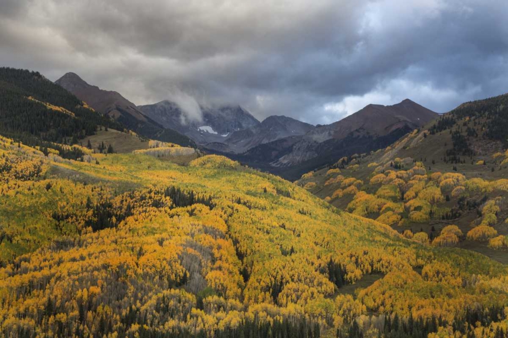 CO, White River NF, Capitol Peak Valley Storm art print by Don Grall for $57.95 CAD