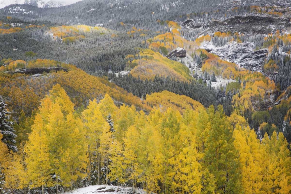 Colorado, San Juan Mountains Autumn snowfall art print by Don Grall for $57.95 CAD