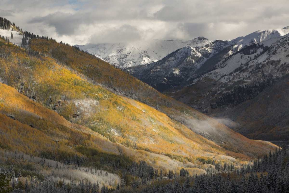 CO, San Juan Mts Red Mountain Pass after snow art print by Don Grall for $57.95 CAD