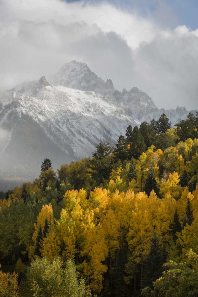 Colorado, Sneffels Range Mt Sneffels at sunset art print by Don Grall for $57.95 CAD