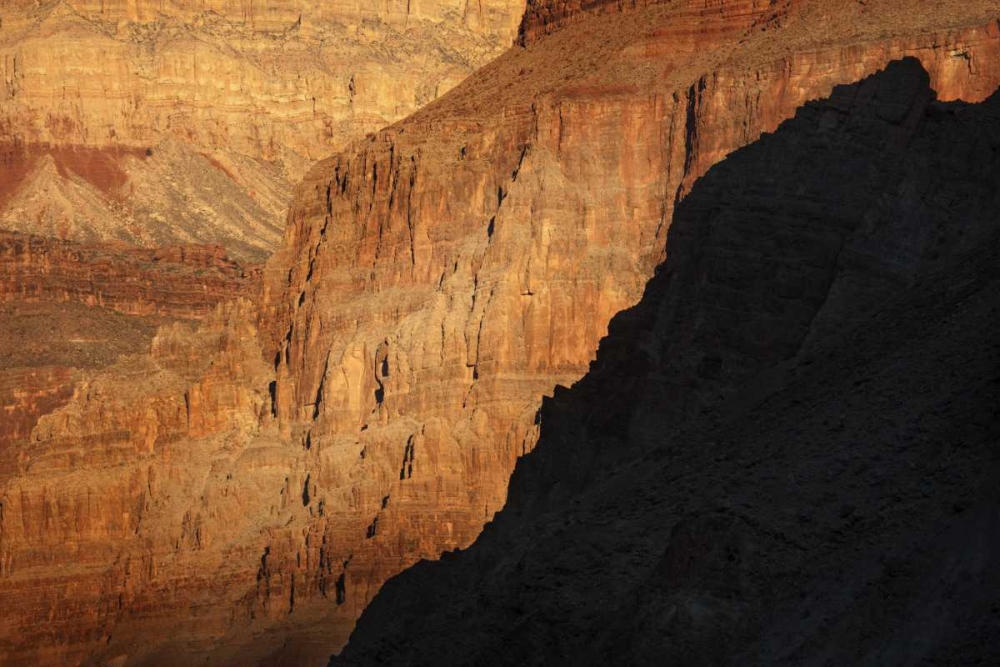 Arizona, Grand Canyon Sunrise on canyon cliffs art print by Don Grall for $57.95 CAD